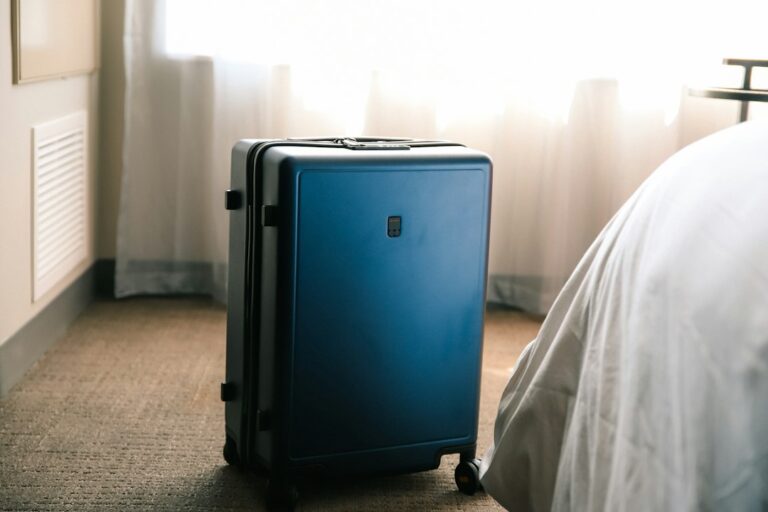 The Benefits of Using Insulated Bags for Outdoor Trips