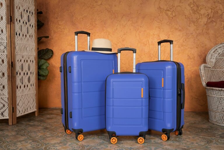 Why Every Traveler Needs an Insulated Bag for Snacks